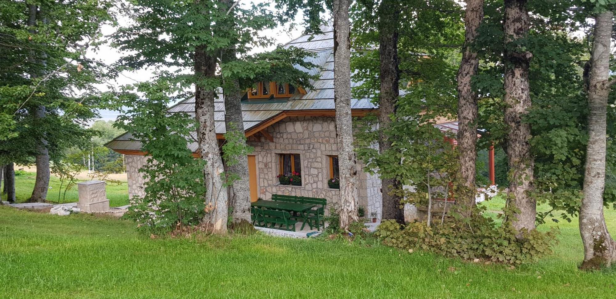 זבליאק Green Forest מראה חיצוני תמונה