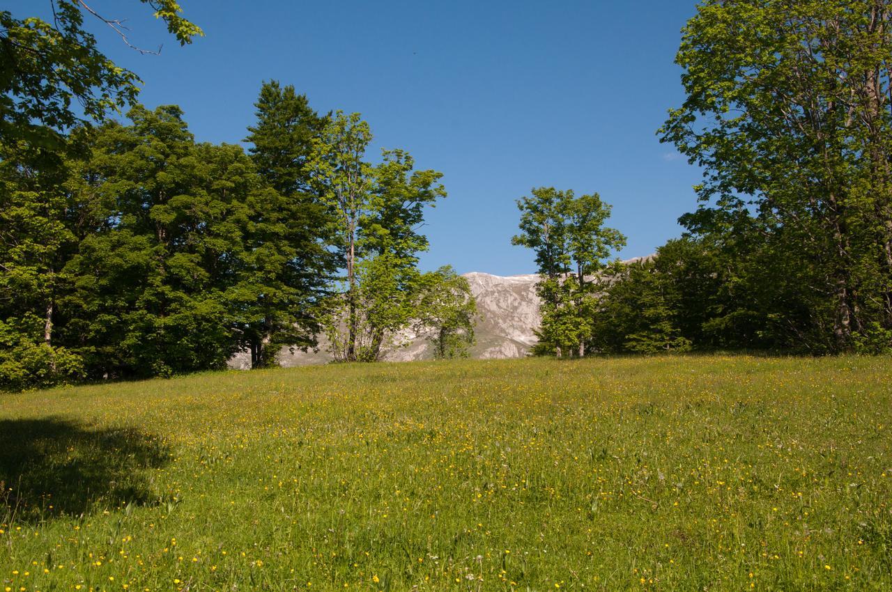 זבליאק Green Forest מראה חיצוני תמונה